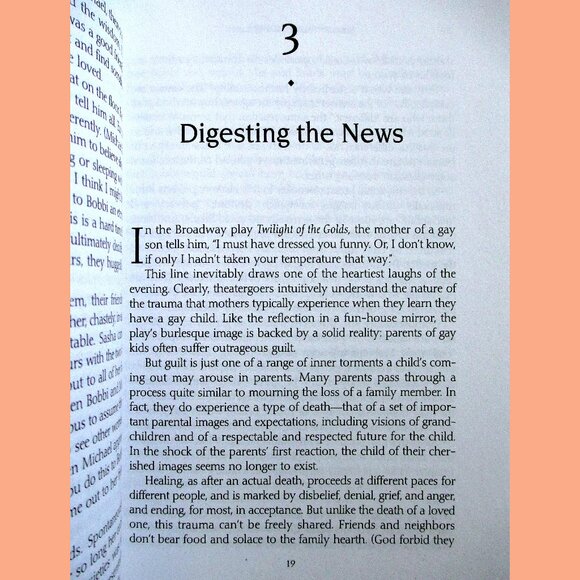 Book - Straight Parents, Gay Children: Inspiring Families to Live Honestly.... - Picture 8 of 14